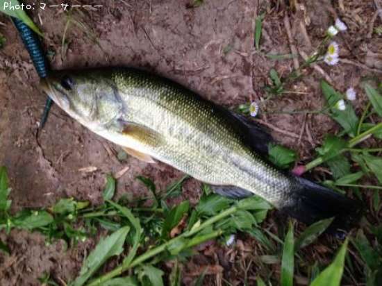 �֥�å��Х�