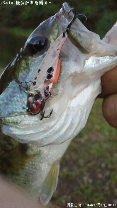 �֥�å��Х�