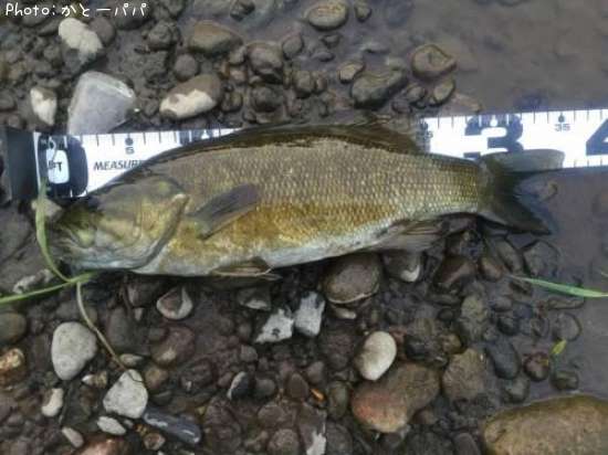 �֥�å��Х�