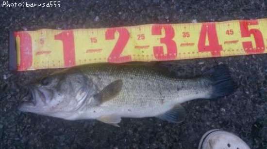 �֥�å��Х�