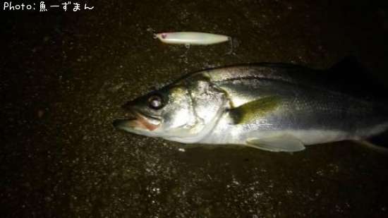 �����Х�