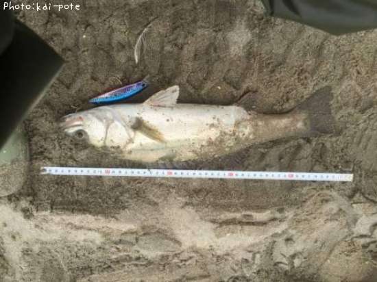 �����Х�