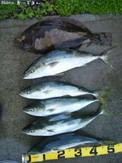 ���ʥ��ȥҥ��