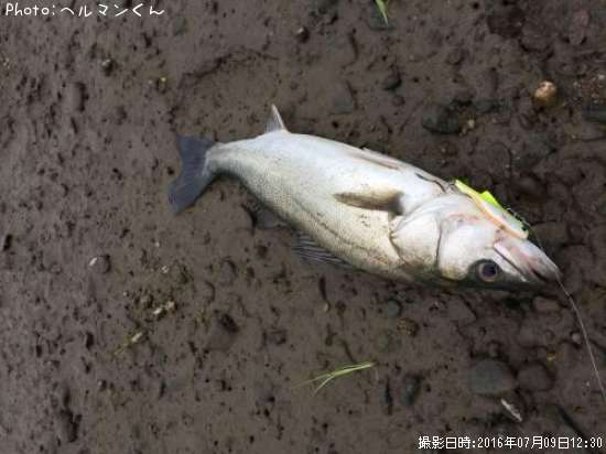 �����Х�