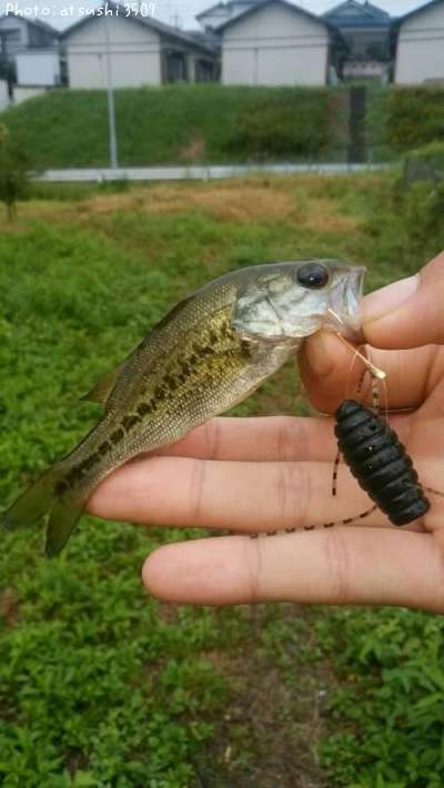 �֥�å��Х�