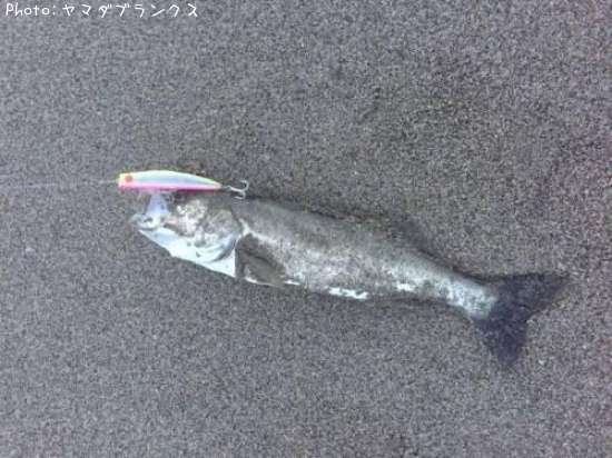 �����Х�