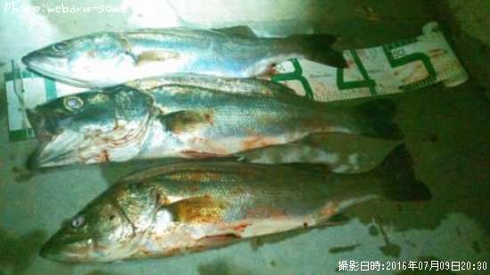 �����Х�