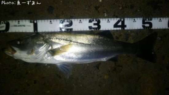 �����Х�