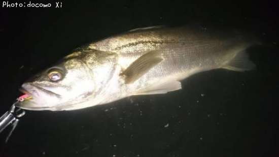 �����Х�