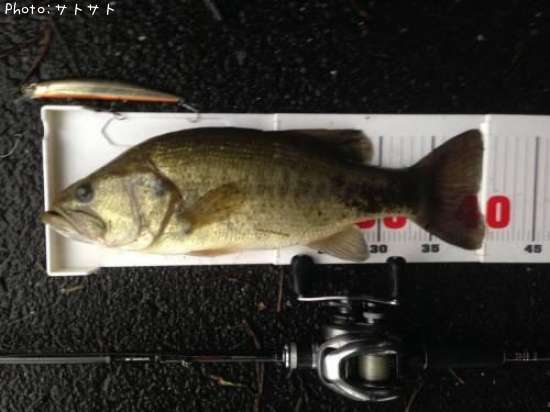 �֥�å��Х�