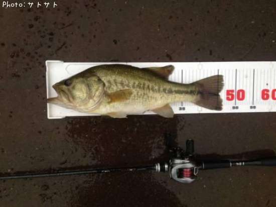 �֥�å��Х�