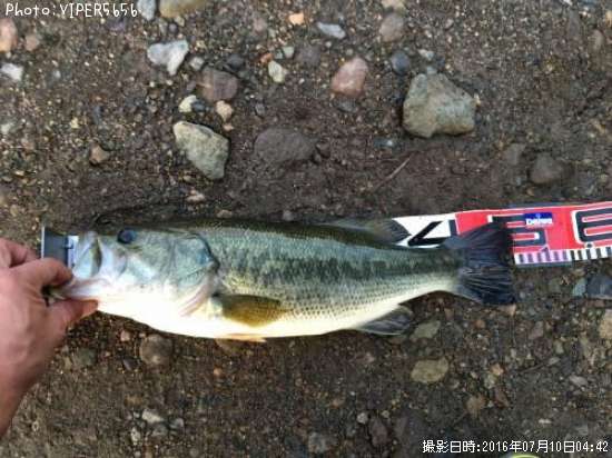 �֥�å��Х�