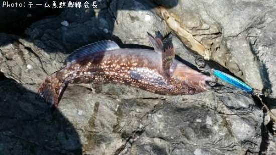 �����ʥ�