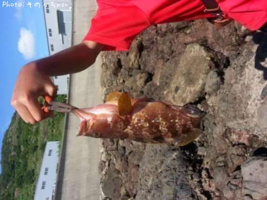 �����ϥ�