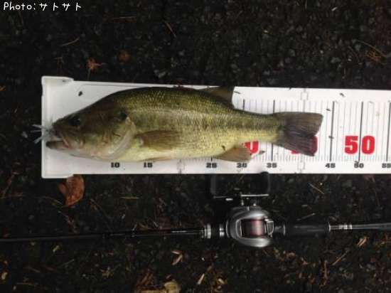 �֥�å��Х�