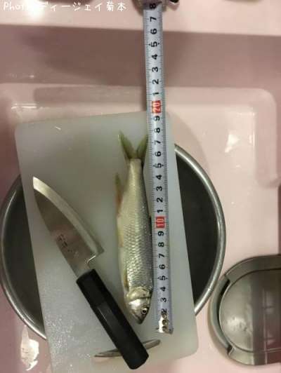 �ϥ�