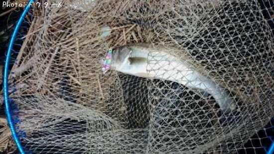 �����Х�