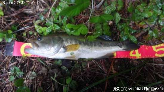 �֥�å��Х�