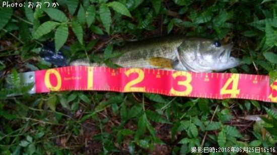 �֥�å��Х�