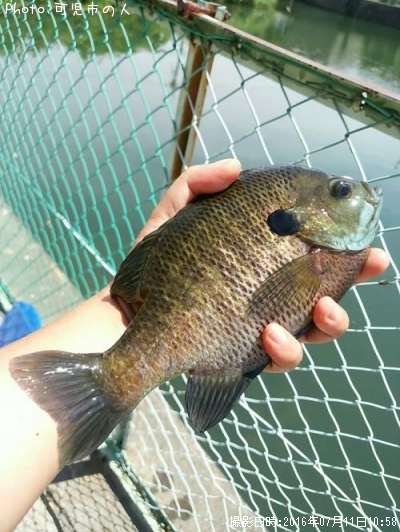 �֥롼����