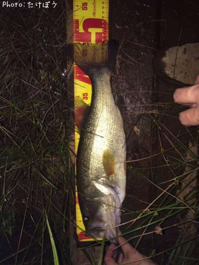 �֥�å��Х�