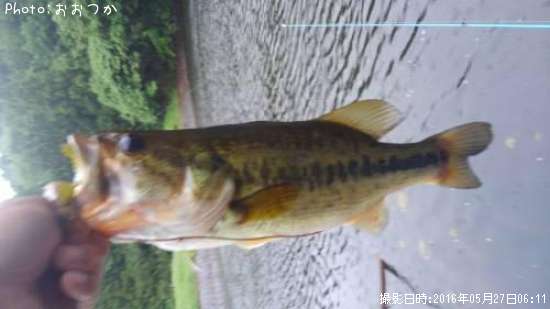 �֥�å��Х�