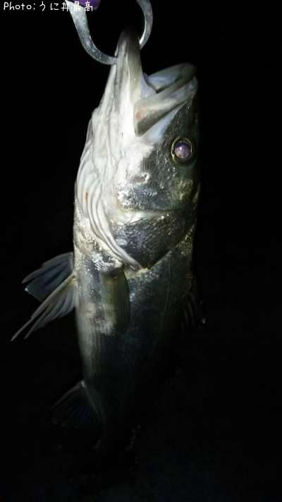 �����Х�