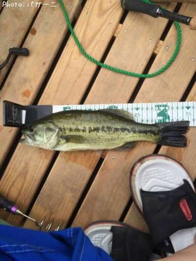 �֥�å��Х�