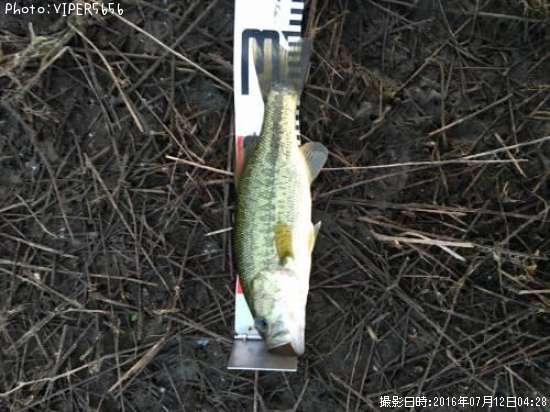 �֥�å��Х�