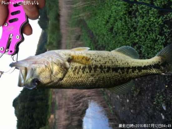 �֥�å��Х�