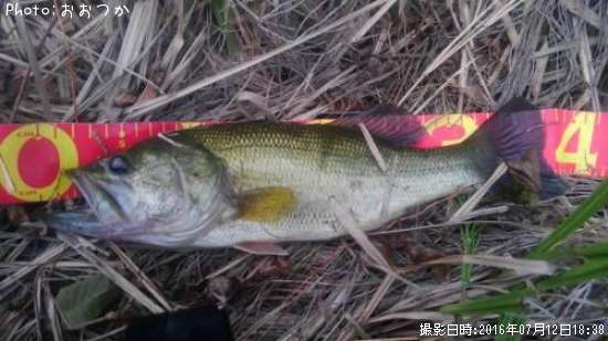 �֥�å��Х�