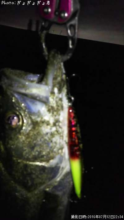 �����Х�