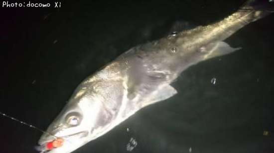 �����Х�