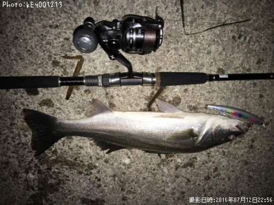 �����Х�