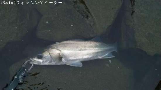 �����Х�