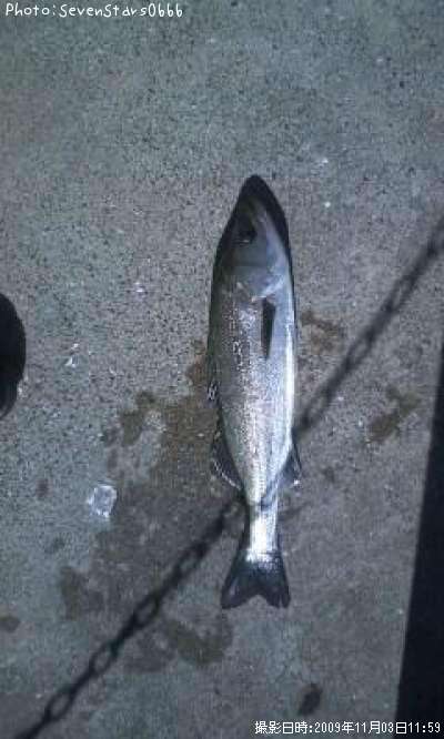 �����Х�