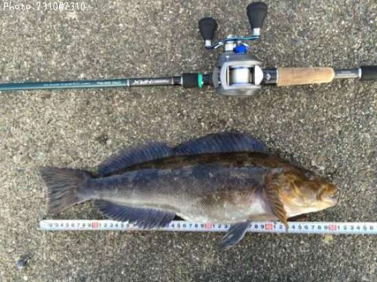 �����ʥ�