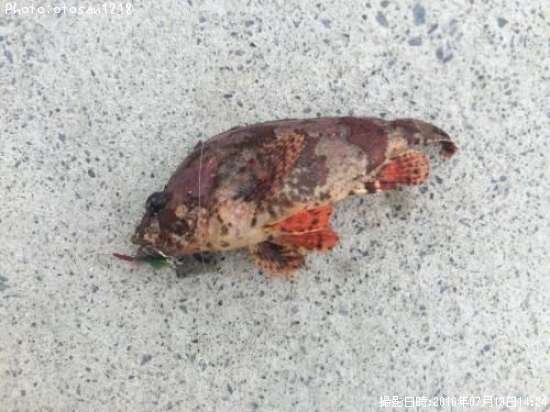 �������Х�