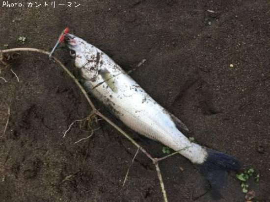 �����Х�