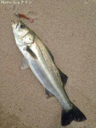 �����Х�