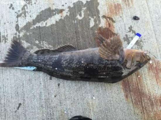 �����ʥ�