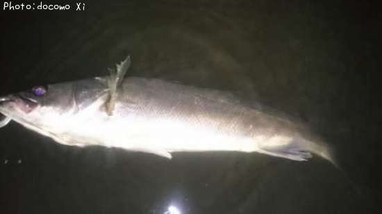 �����Х�