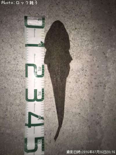 �ޥ���