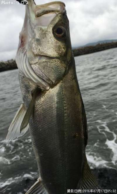 �����Х�