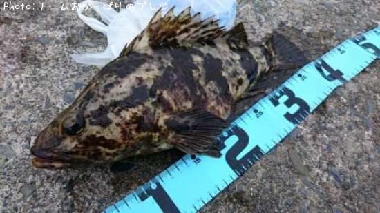 �����Υ���Х�