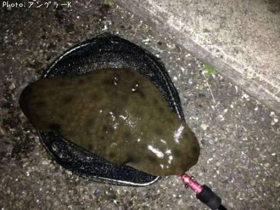 �ĥХ�������