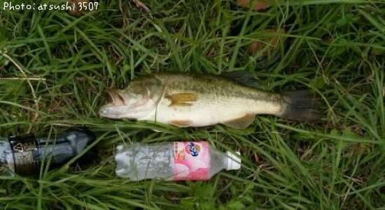 �֥�å��Х�