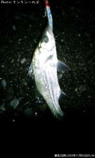 �������ʥҥ顩��