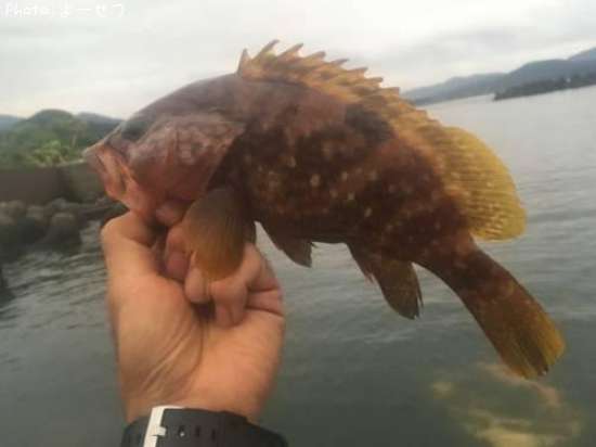 �����ϥ�