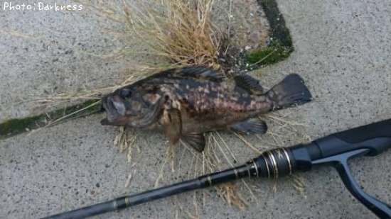 �����Υ���Х�